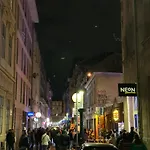 Night Life Party Flat